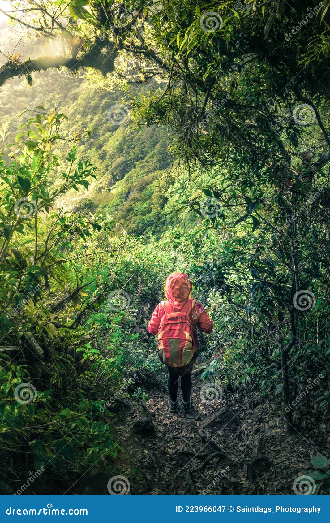vertical shot of a young hiker walking along a path with a beautiful landscape on a cloudy morning in the green hills of escazu