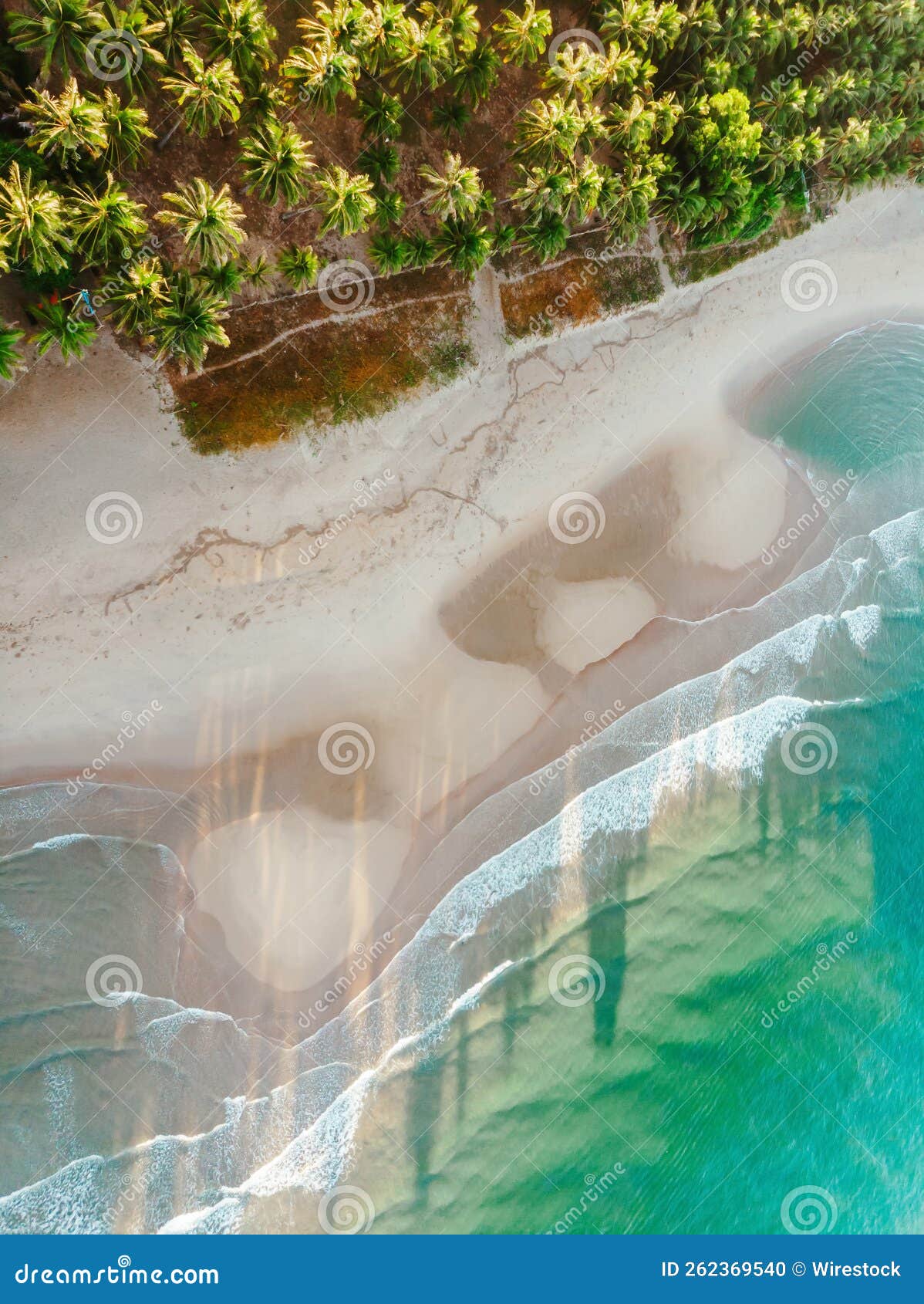 vertical top view of takatuka island in the sipalay negros occidental, philippines