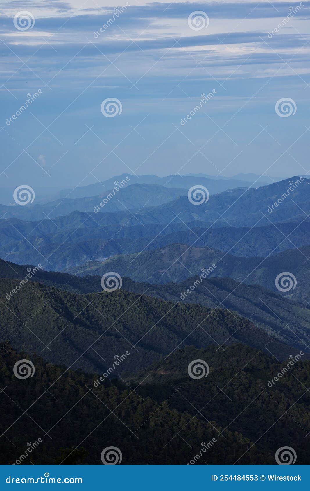 vertical view of the tree-covered mountains landscape under the blue sky in san jose del pacifico