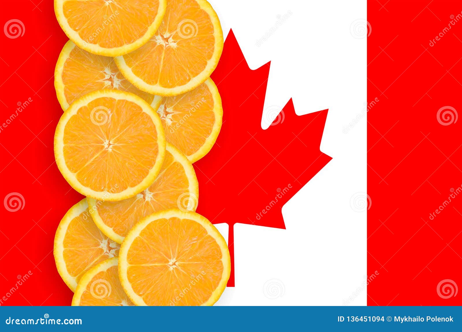 Vertikal rad för Kanada flagga- och citrusfruktskivor. Kanada flagga och vertikal rad av orange citrusfruktskivor Begrepp av att växa såväl som import och export av citrusfrukter