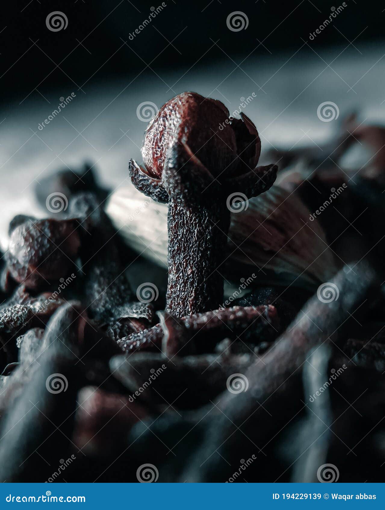 Getting Too Much Closed To the Clove. Stock Image Image of clove
