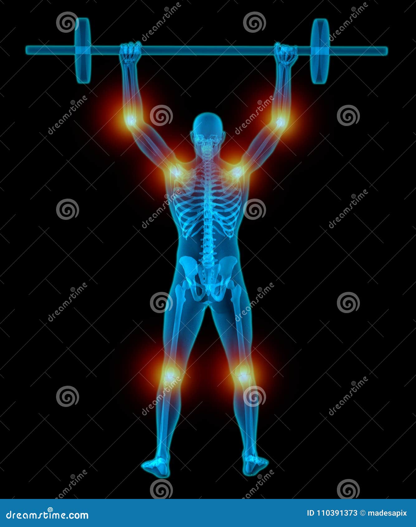 Very Detailed and Medically Accurate 3D Illustration of a Translucent