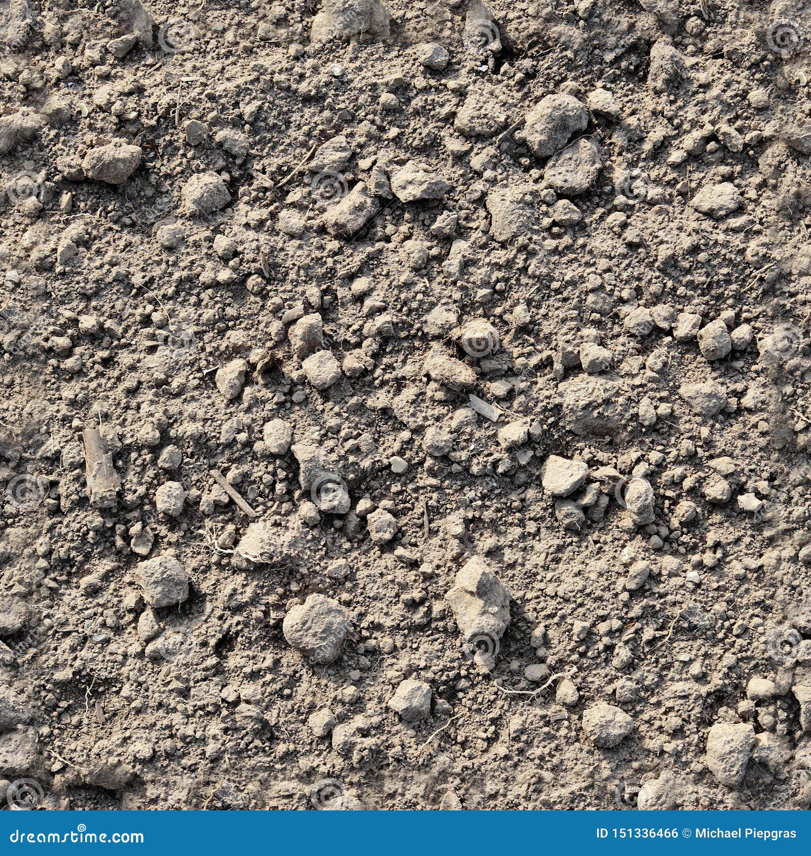 Seamless Soil Texture