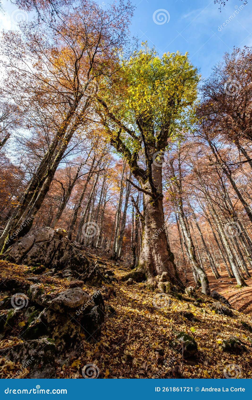 forca d`acero, abruzzo national park, italy