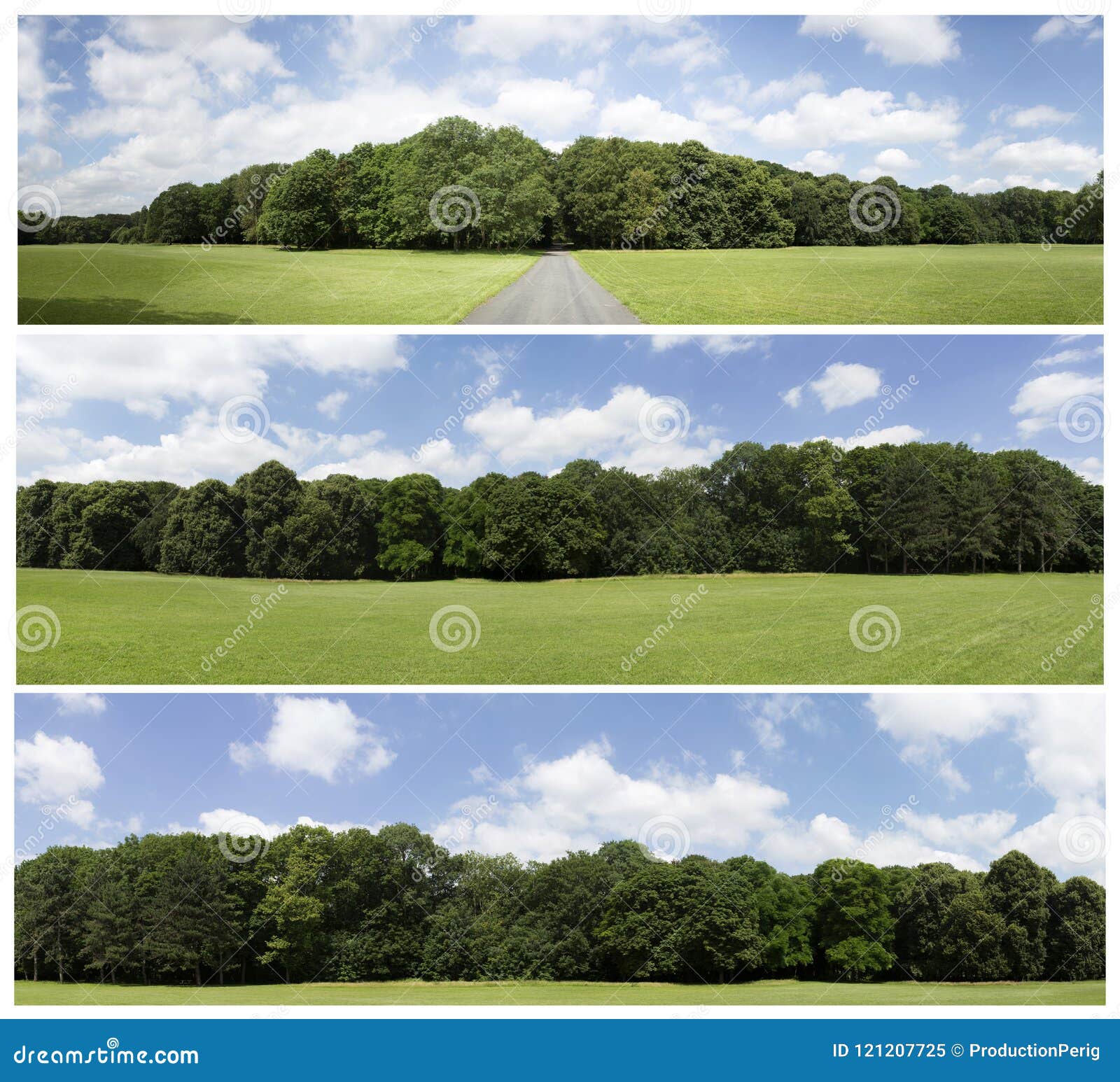 Beautiful blue sky on green treeline landscape - PatternPictures