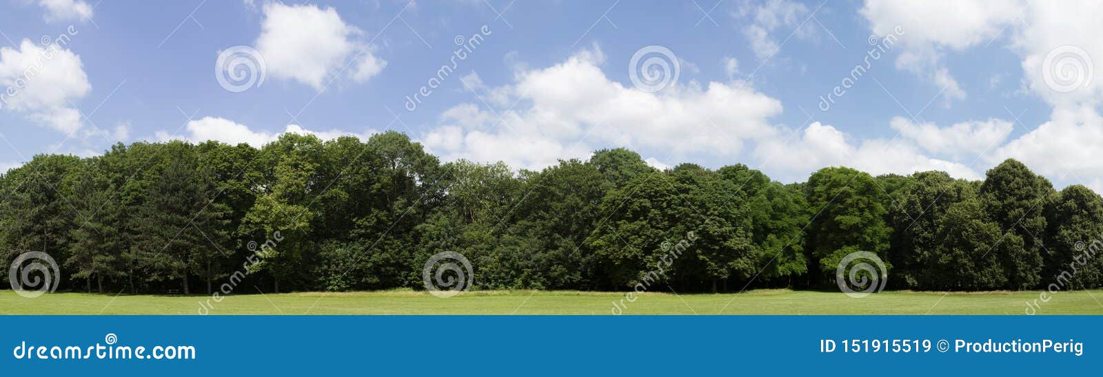Very High Definition Treeline with a Colorful Blue Sky Stock Image