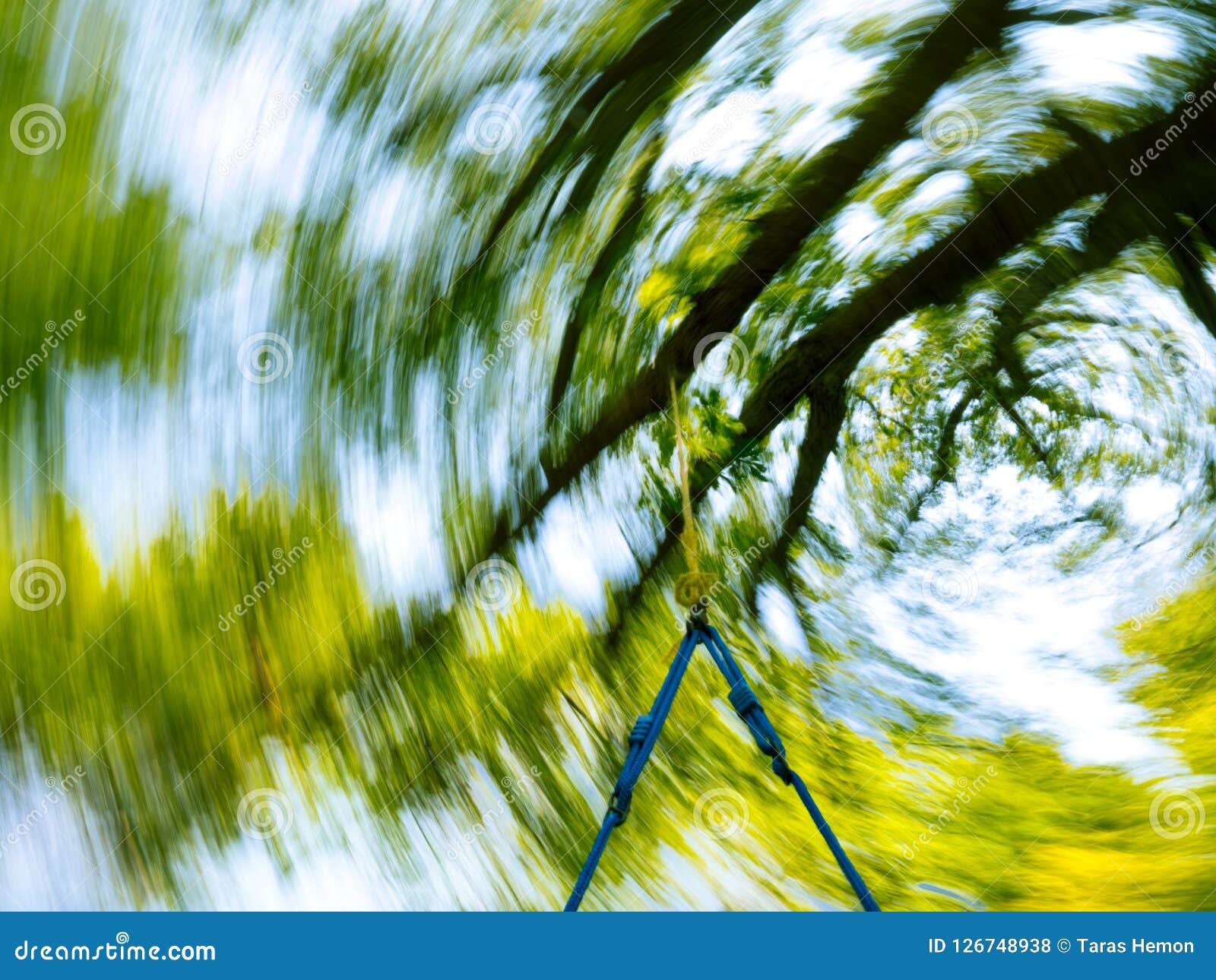 impressions of swinging on a tree swing