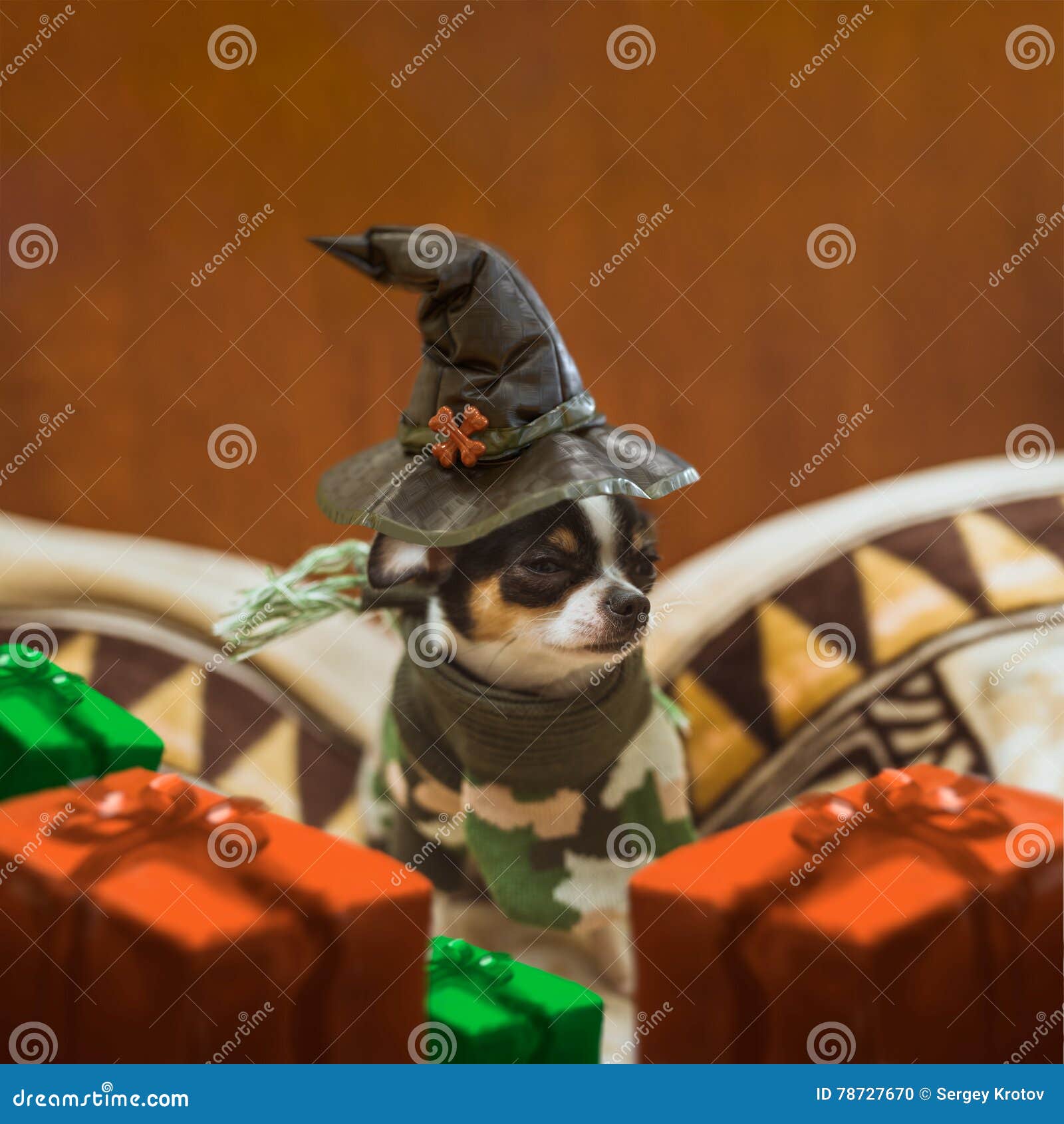 Very little puppy sitting sadly wearing a witch s hat and gift boxes around him. Happy Halloween postcard.