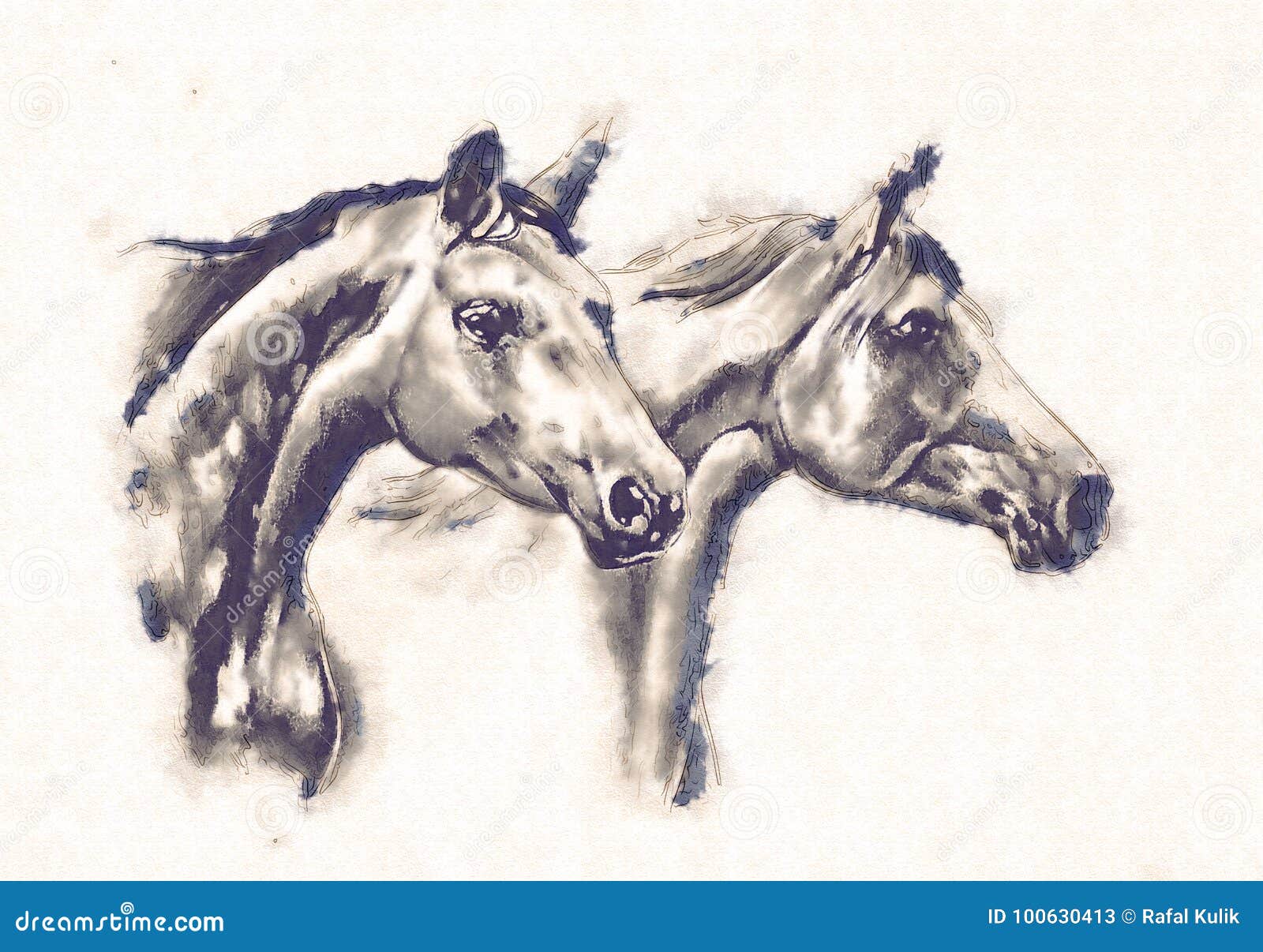 Sketch White Horse Running Stock Illustrations – 2,015 Sketch White Horse  Running Stock Illustrations, Vectors & Clipart - Dreamstime