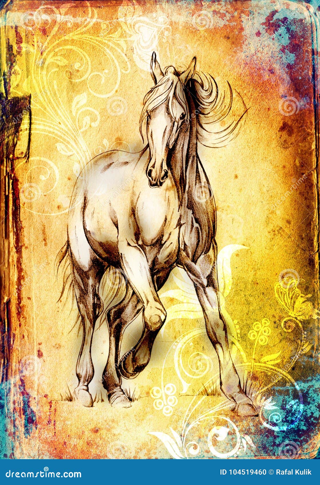 Beautiful Horse by RachelRie on DeviantArt