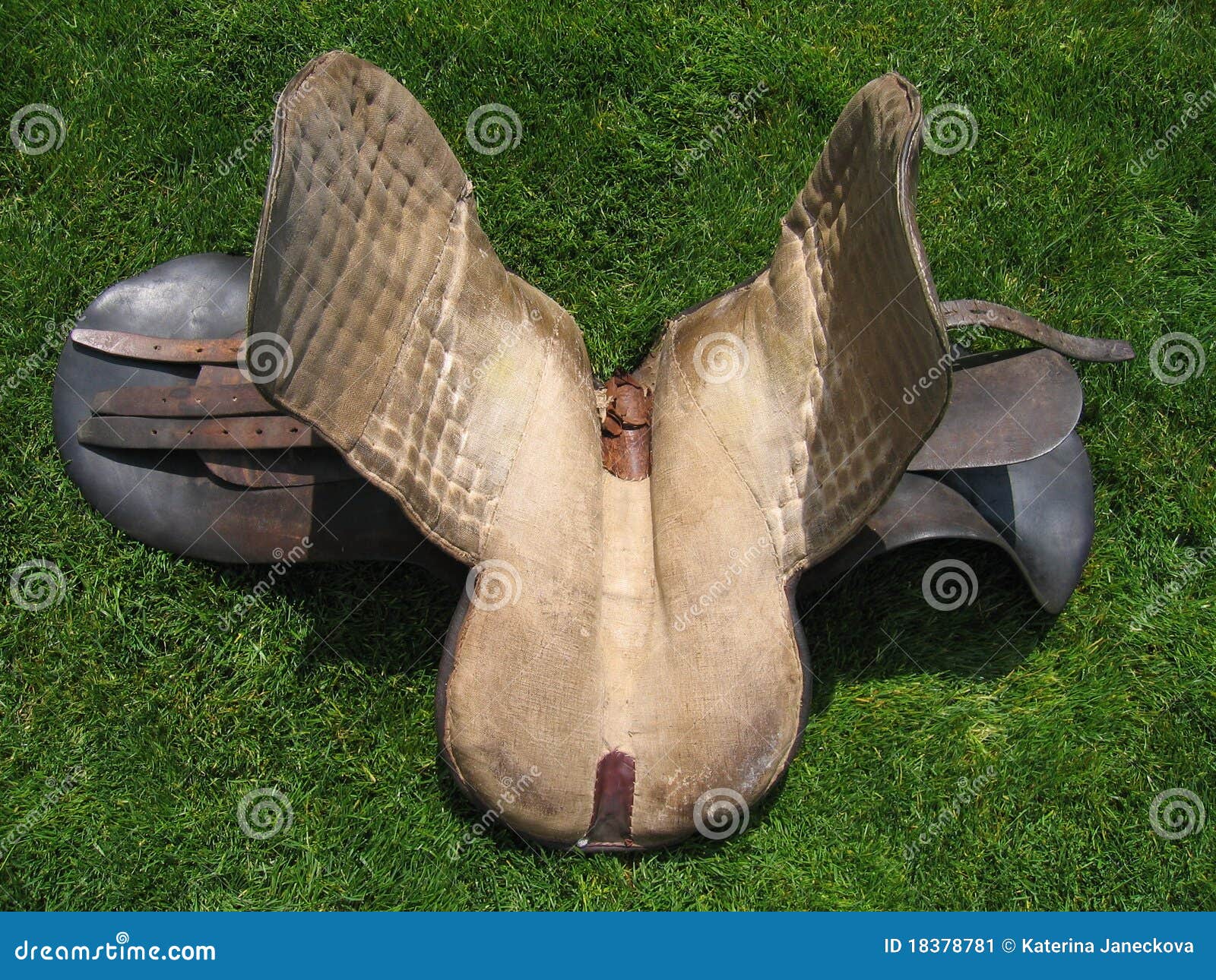 Very old English saddle stock image. Image of grass, rope 18378781