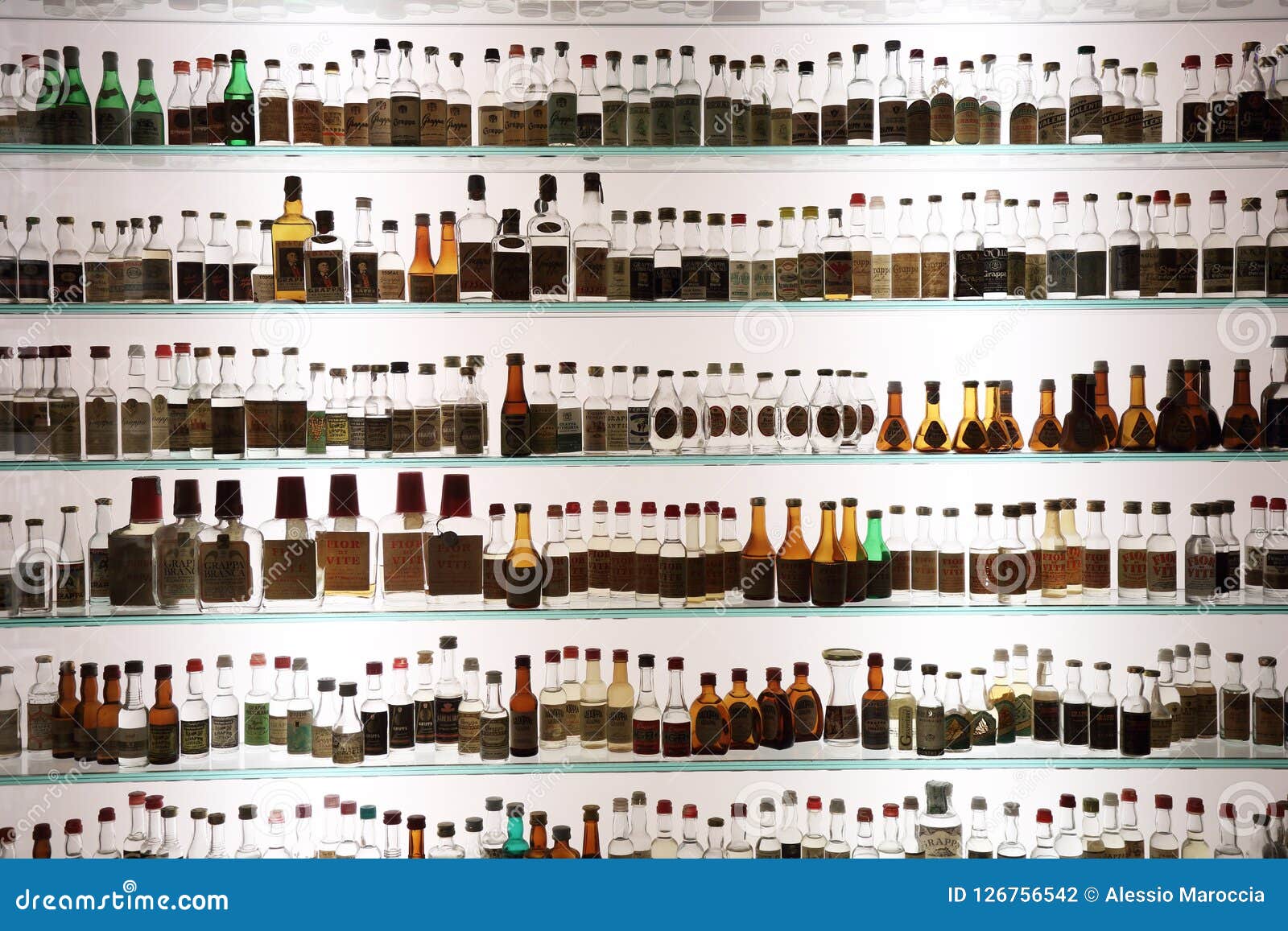 Very old grape bottles editorial photography. Image of bassano 126756542