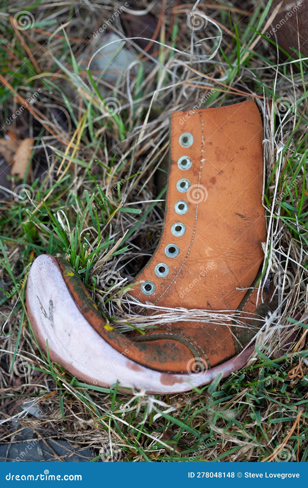 Very Old Leather Boot Lying on the Ground Stock Photo Image of