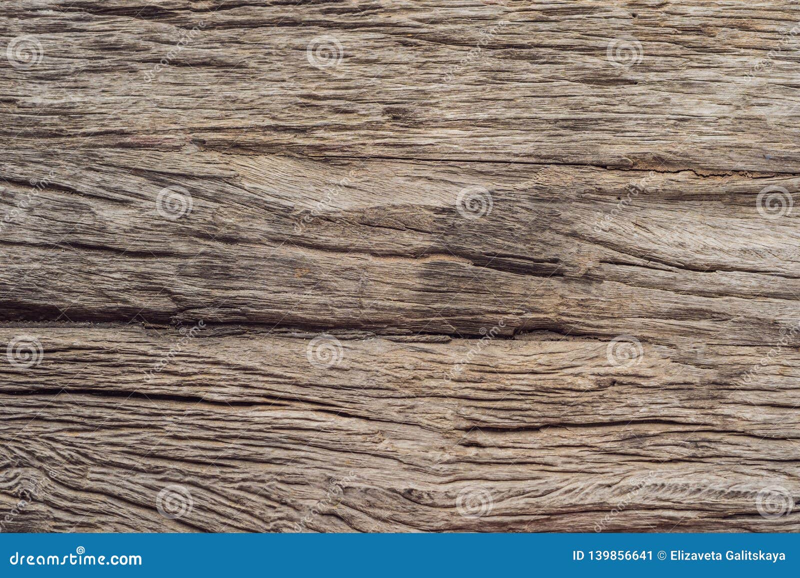 Very Old Wood Background, Closeup. Wood Texture Stock Image Image of