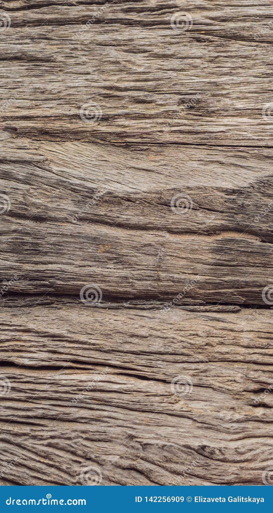 Textures gỗ: Khám phá độ bắt mắt và sự ấn tượng của các loại textures gỗ độc đáo trong hình ảnh này. Sự kết hợp tuyệt vời giữa vẻ đẹp và chất lượng của textures gỗ tạo ra một hiệu ứng tuyệt vời mà bạn không thể bỏ qua.