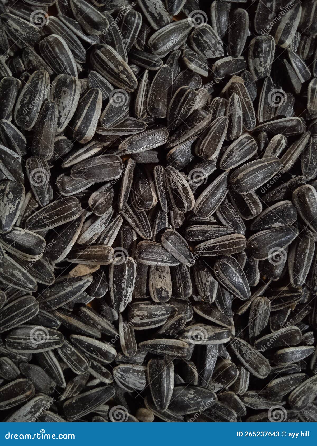 Very small sunflower seeds stock image. Image of beautiful 265237643