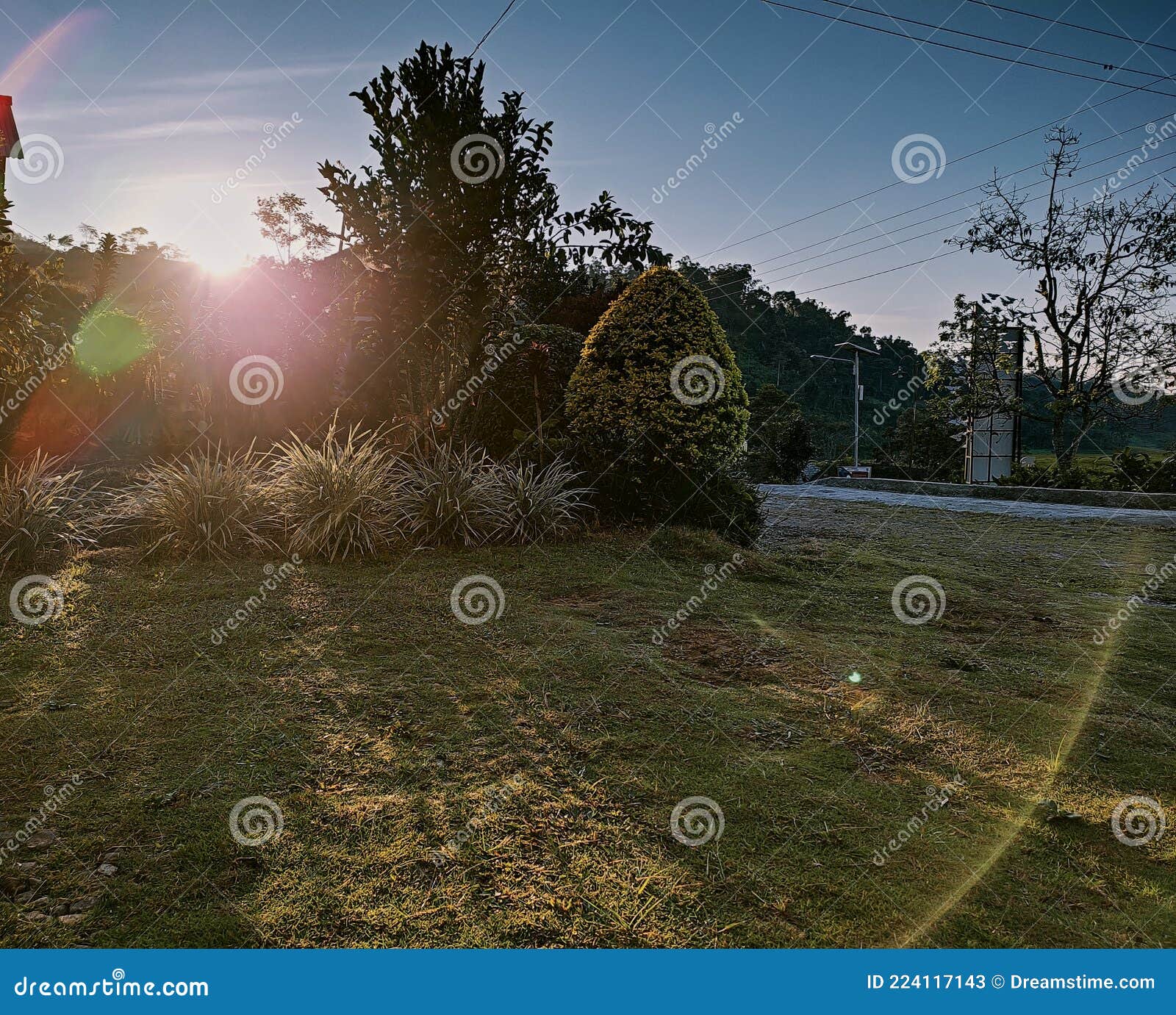 Very sunny morning stock image. Image of grass, autumn 224117143