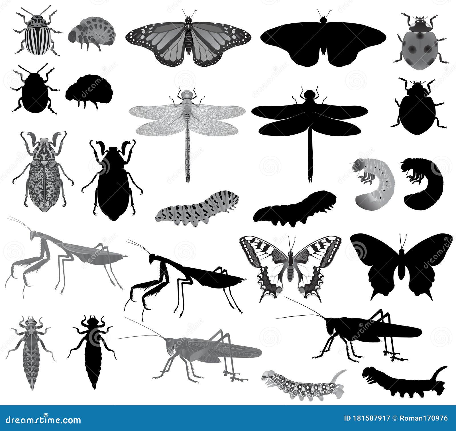 huurder vrijgesteld naakt Verzameling Van Insecten in Zwart-wit Beeld En Silhouet Vector Illustratie - Illustration of contour, herbivoor: 181587917 huurder vrijgesteld naakt Verzameling Van Insecten in Zwart-wit Beeld En Silhouet Vector Illustratie - Illustration of contour, herbivoor: 181587917