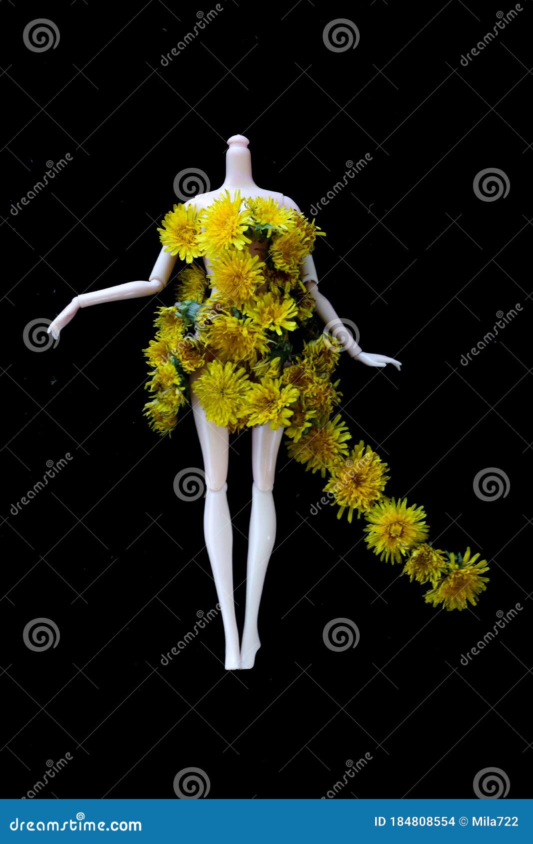 Vestido Ficticio De Vestir Hecho De Flores De Dandelion Amarillas Aisladas En Fondo Negro. Concepto De Moda De Primavera O Verano Foto de archivo - Imagen de flora, fondo: 184808554 Vestido Ficticio De Vestir Hecho De Flores De Dandelion Amarillas Aisladas En Fondo Negro. Concepto De Moda De Primavera O Verano Foto de archivo - Imagen de flora, fondo: 184808554