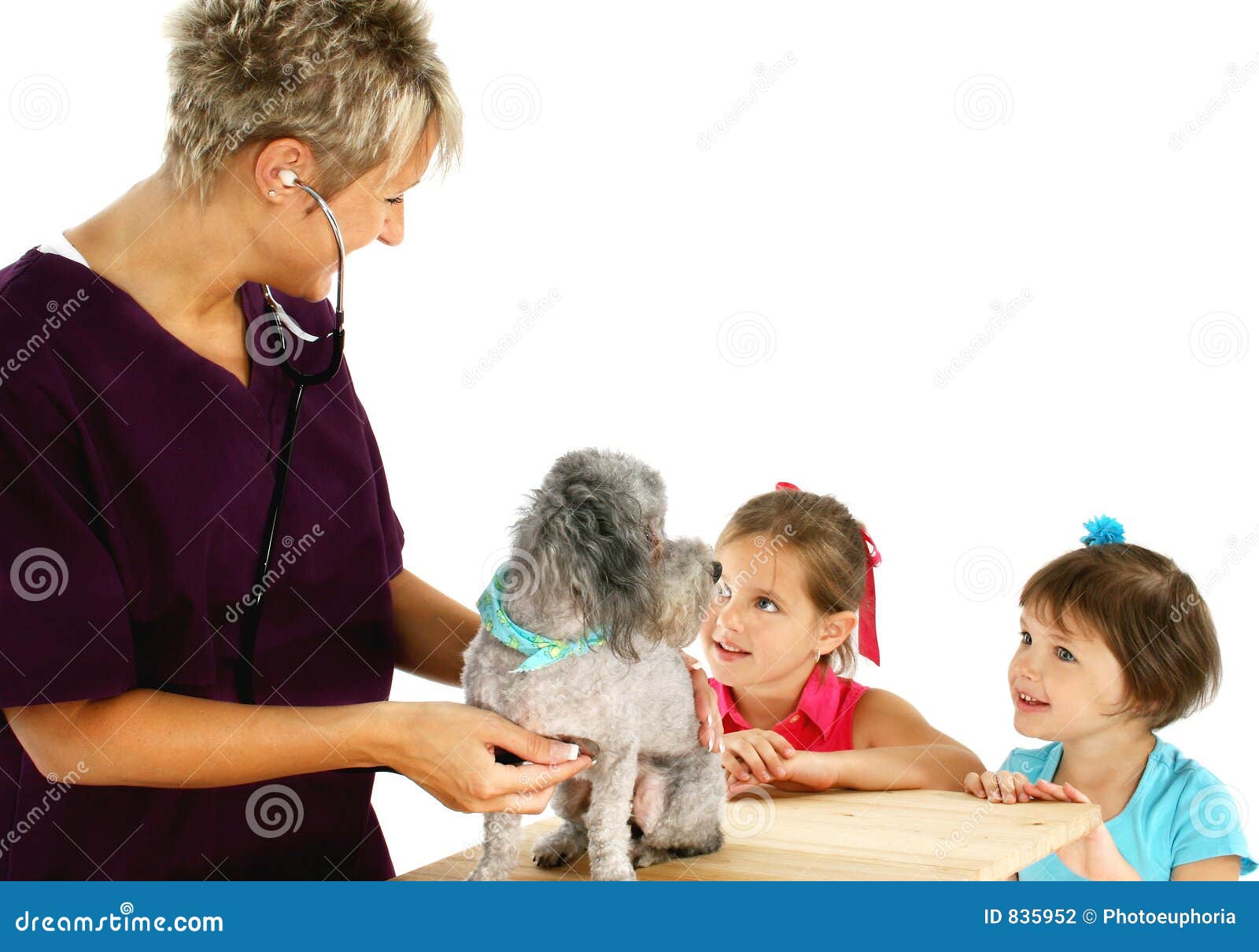 Vet, Dog and Children stock photo. Image of routine, anxious 835952