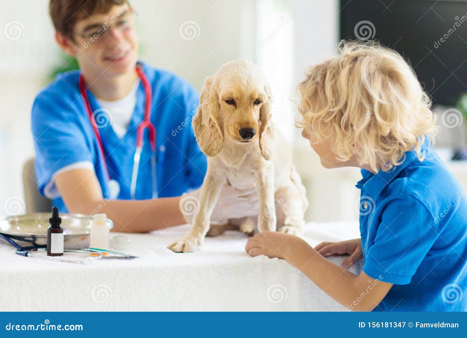 puppy vet check