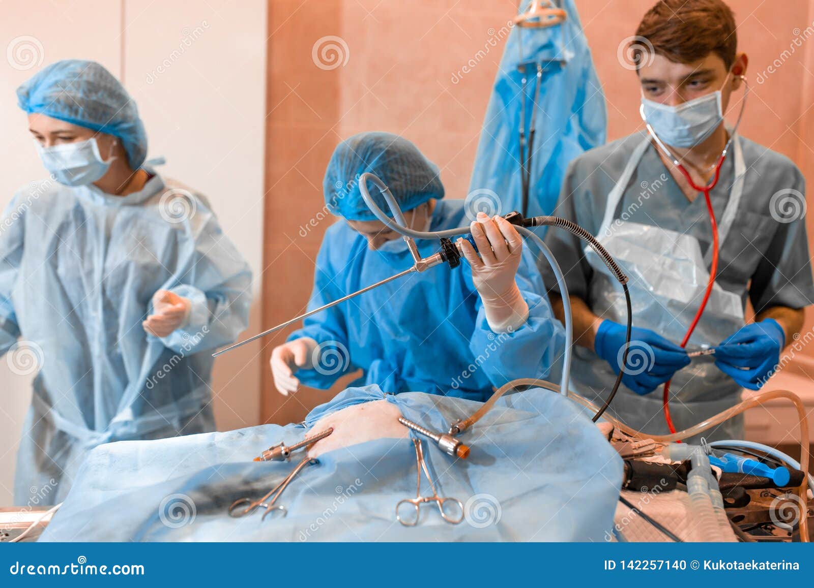 Vet Doing the Operation for Sterilization. the Cat on the Operating