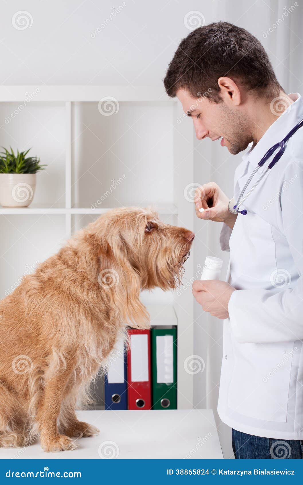 vet giving medicament to dog