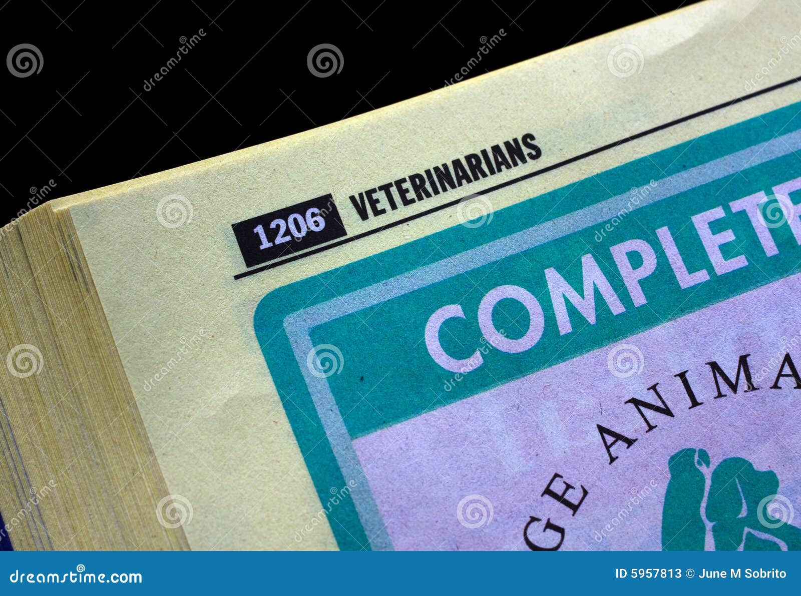 Vet Guide stock image. Image of pets, pages, veterinary 5957813