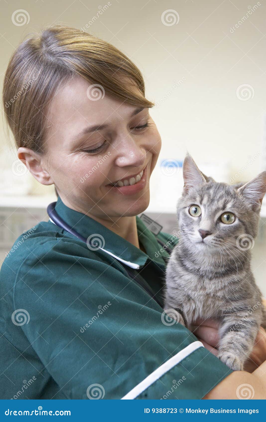 Vet Holding Cat in Surgery stock image. Image of holding 9388723
