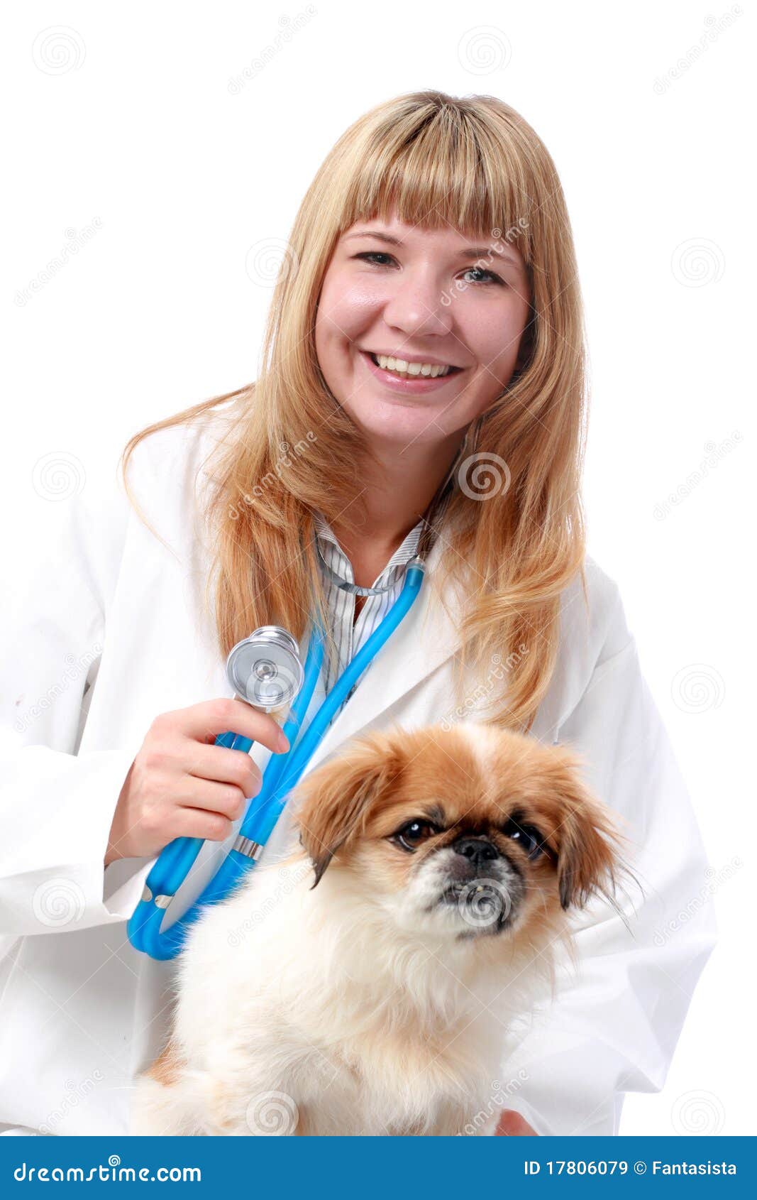Vet and small dog. stock image. Image of beauty, hospital 17806079
