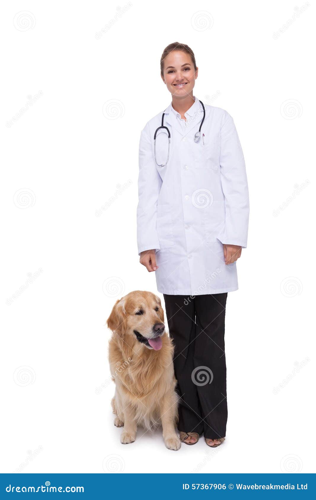Vet standing with a dog stock photo. Image of labrador 57367906