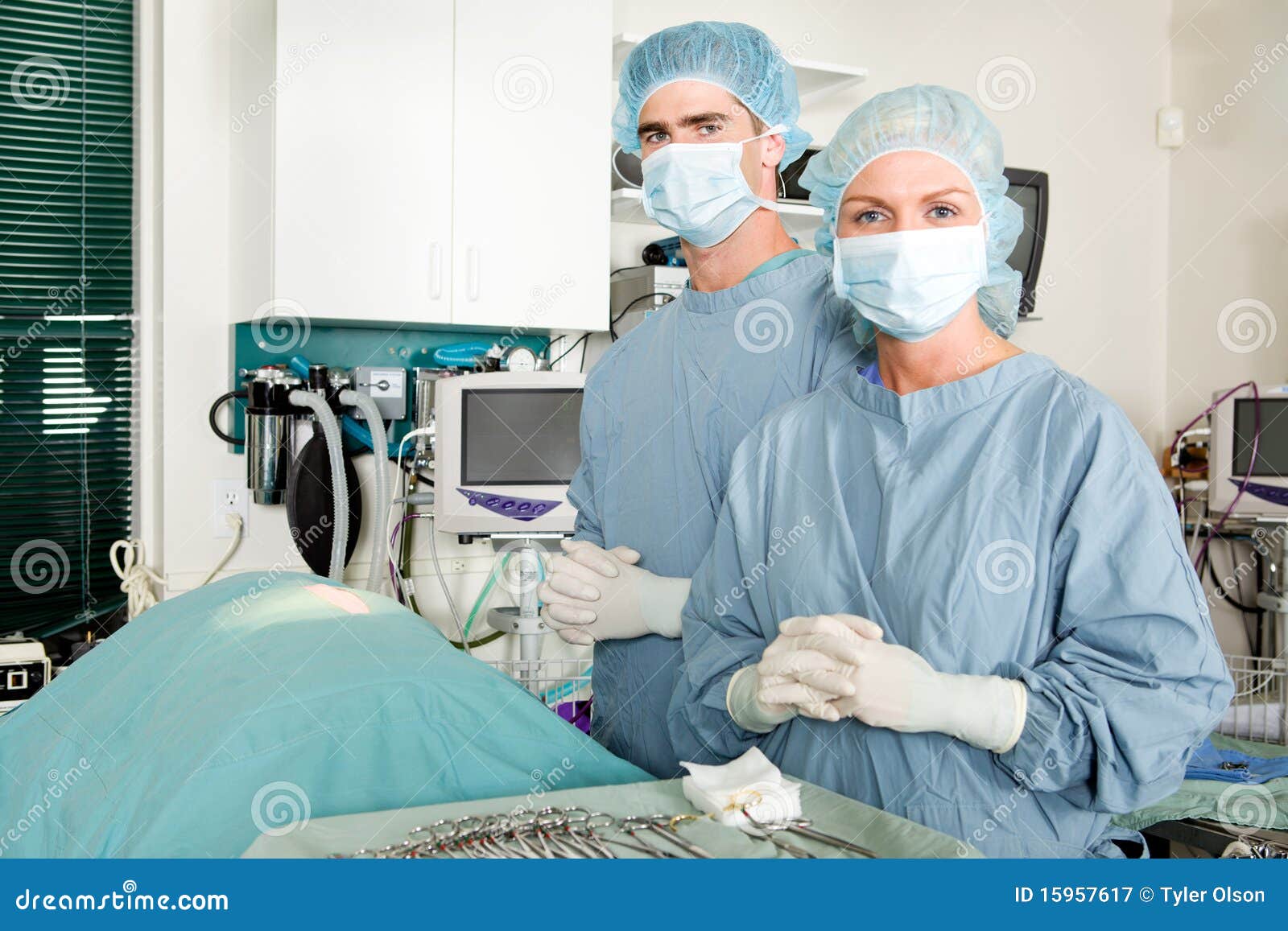 Vet Surgery stock image. Image of instrument, animal 15957617