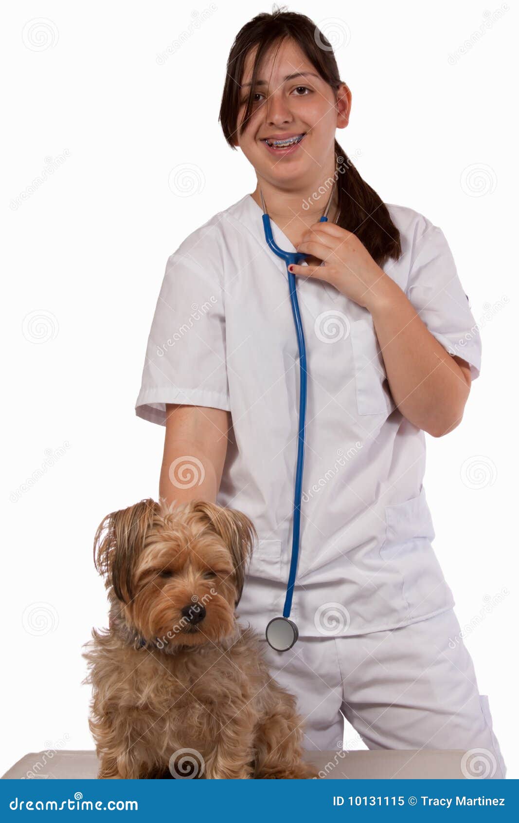Vet in training stock image. Image of health, veterinary 10131115