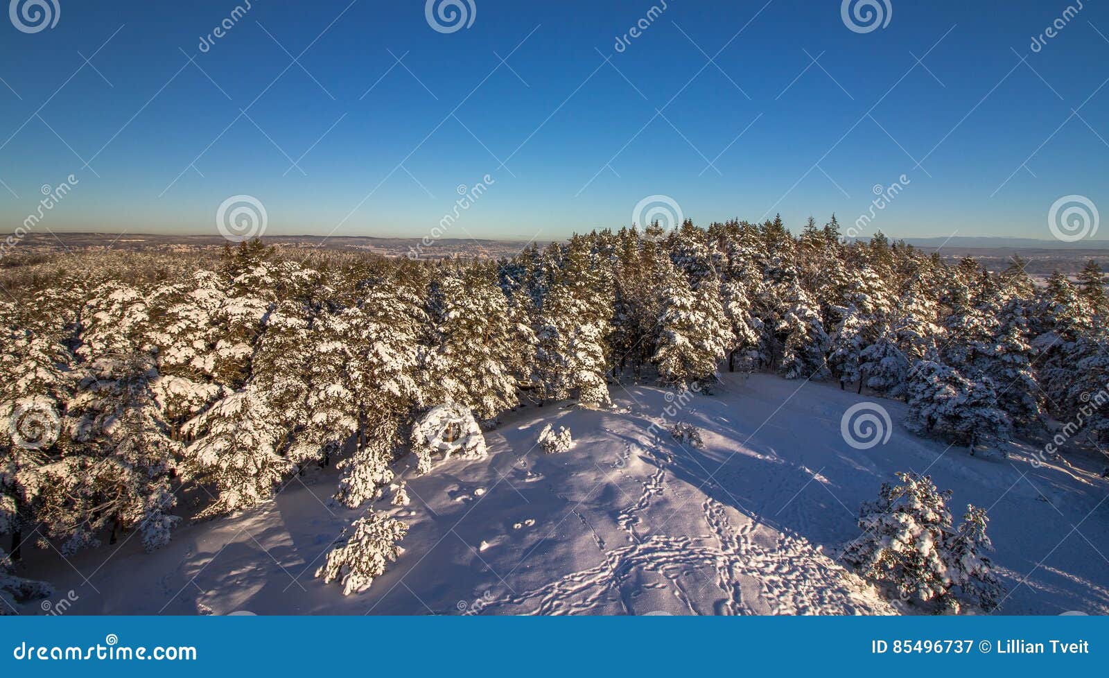 vetatoppen, view from the tower in fredrikstad, norway. winter, sun, snow.