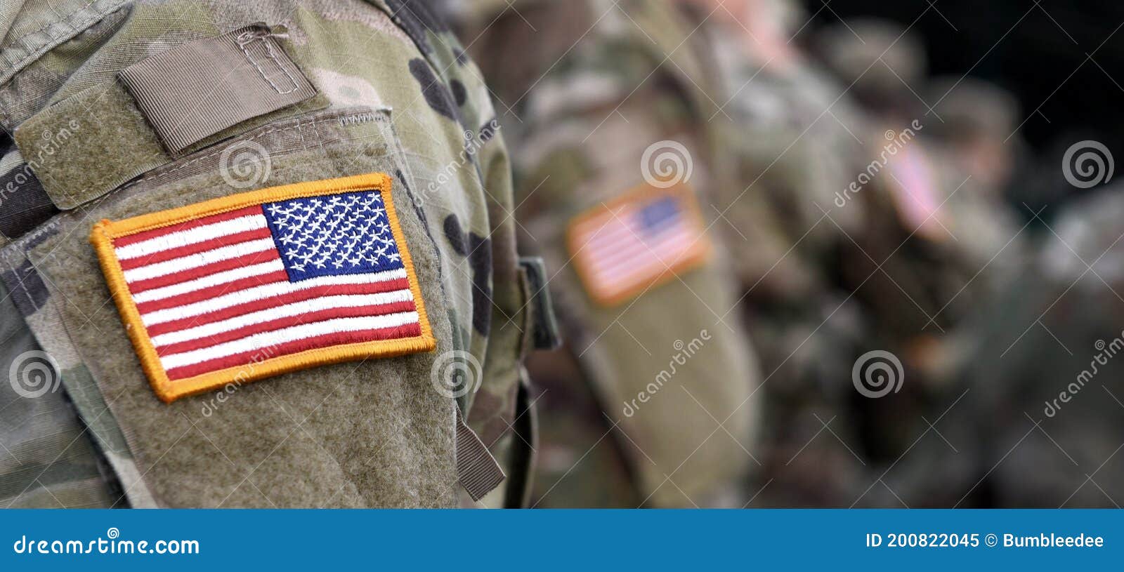 veterans day. us soldier. us army. the united states armed forces. american military