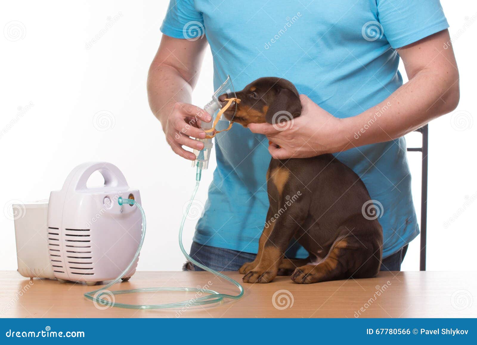 masque respiratoire pour chien masque respiratoire pour chien