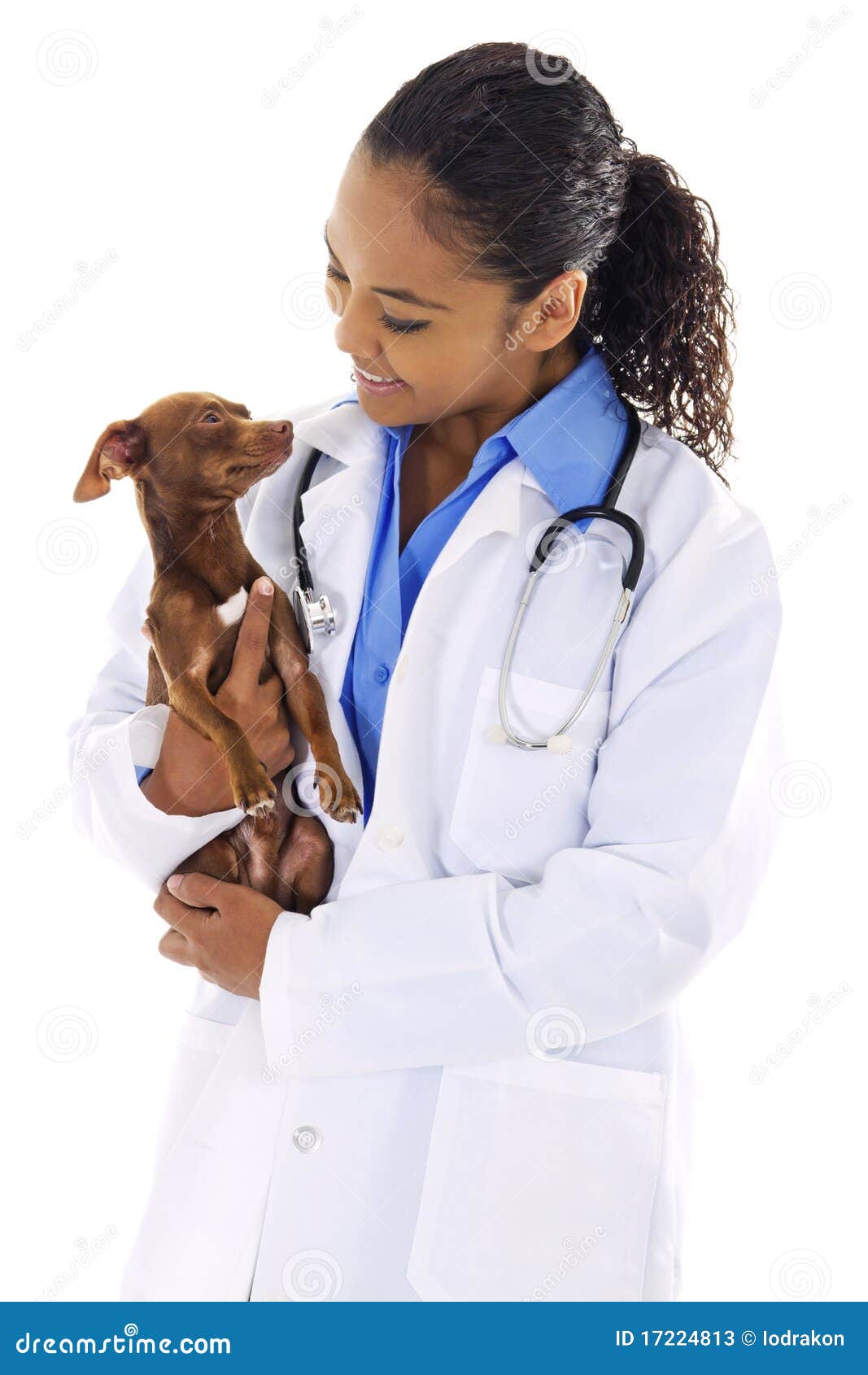 veterinarian