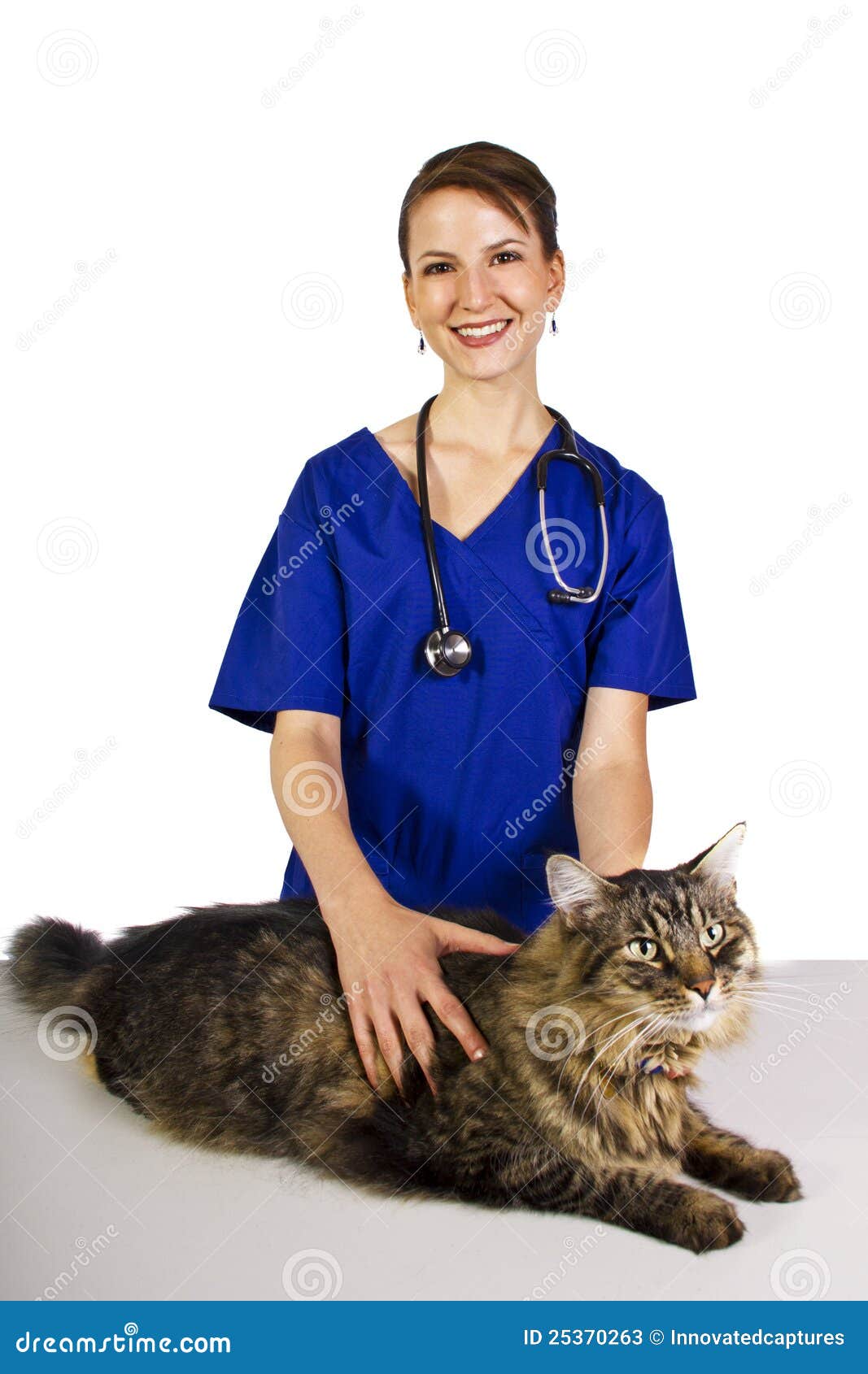 Veterinarian stock image. Image of nurse, occupation 25370263