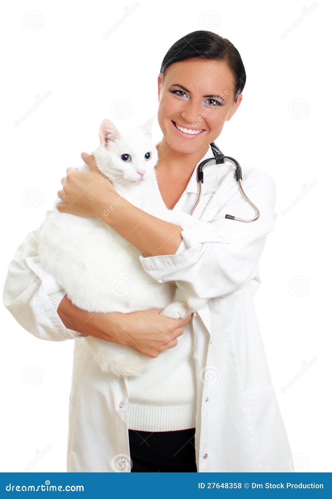 Veterinarian with a cat stock photo. Image of healthcare 27648358