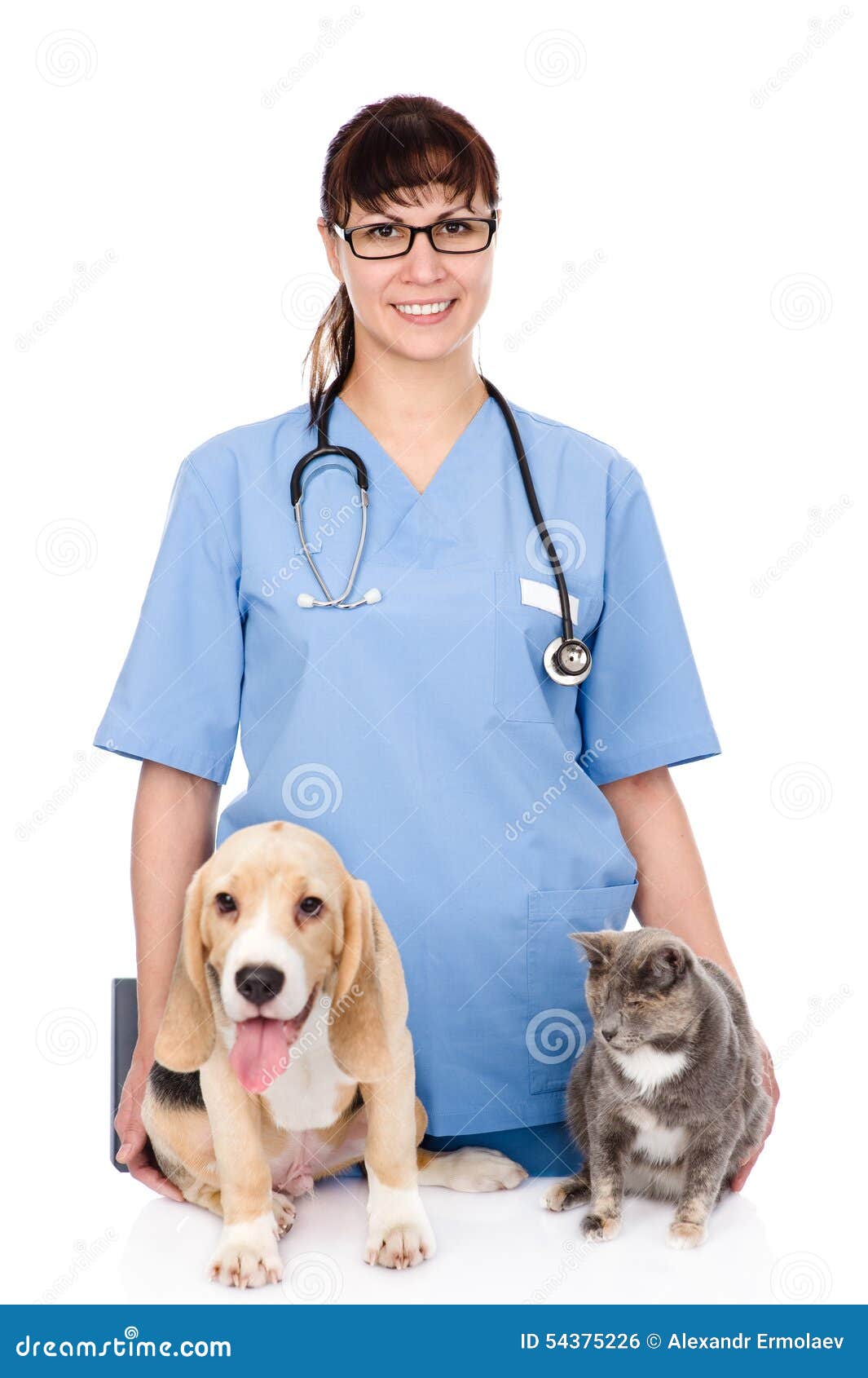 Veterinarian with Cat and Dog. Isolated on White Background Stock Photo