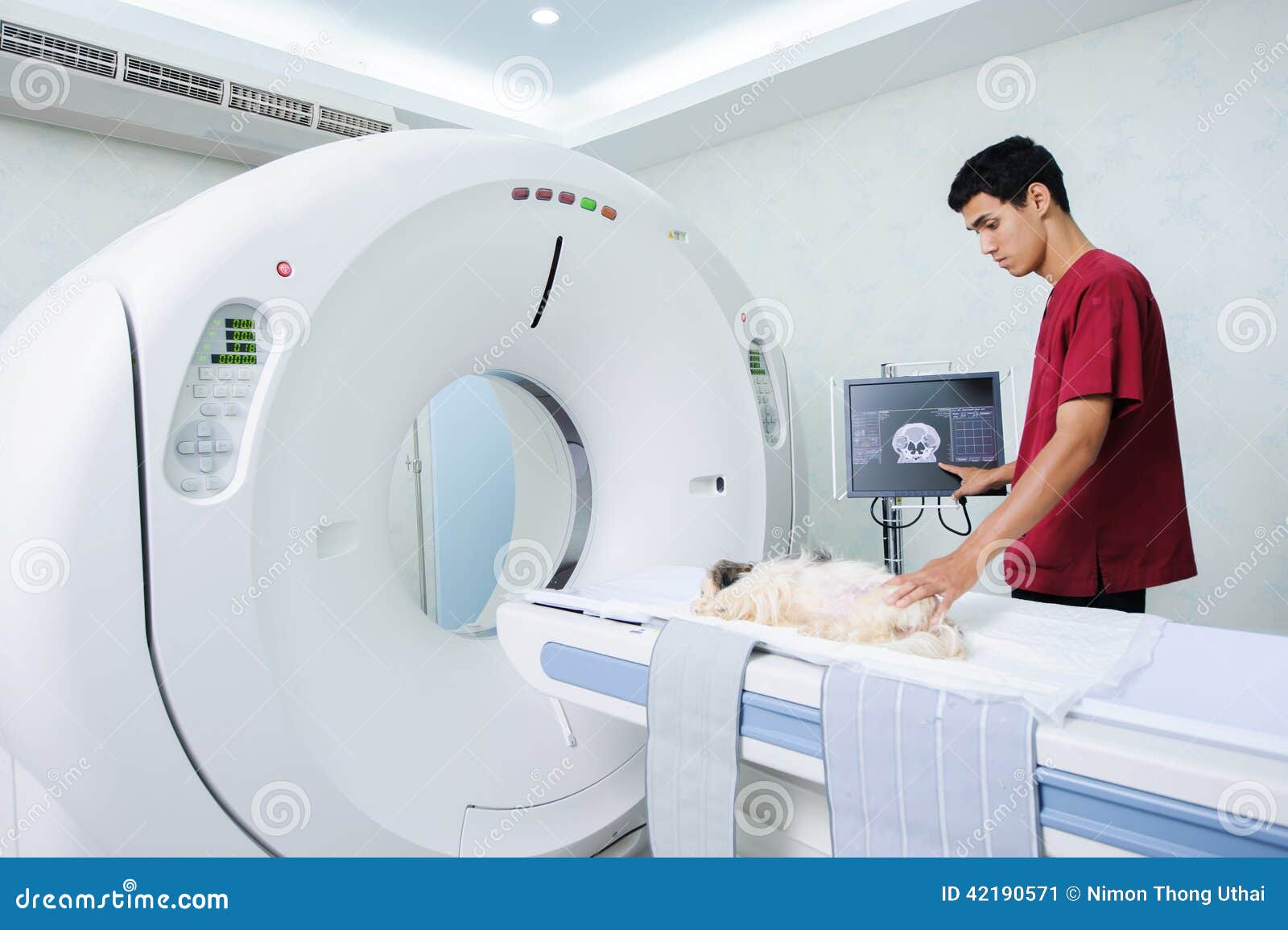 Veterinarian Doctor with MRI Computer Control Stock Image Image of