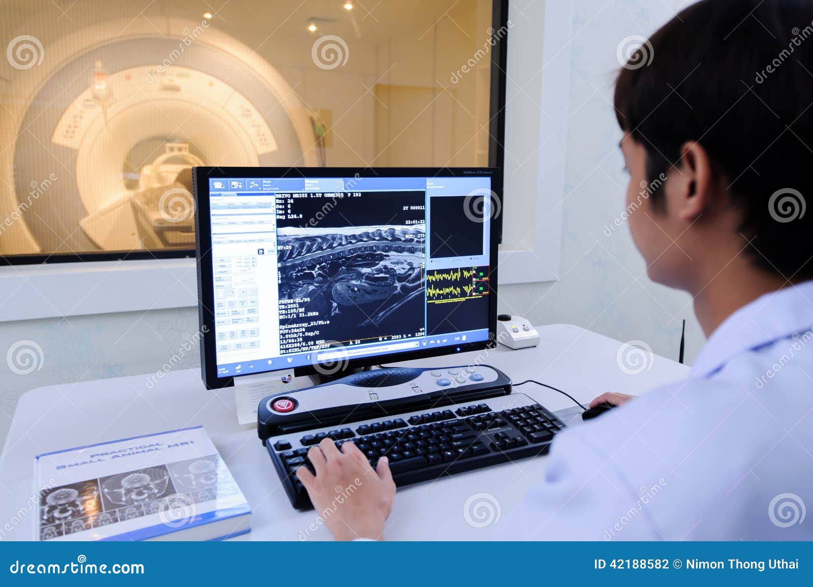 Veterinarian Doctor Working in MRI Room Stock Photo Image of medicine