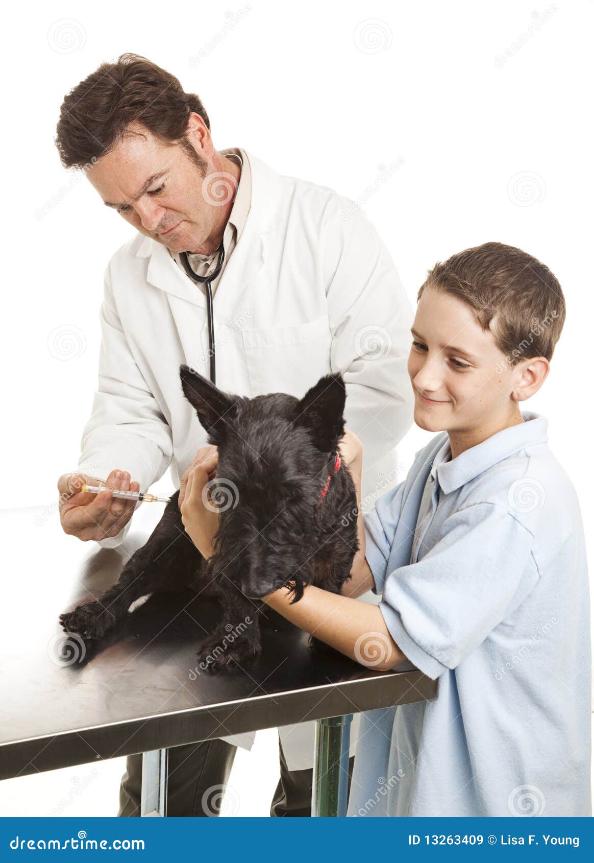 Veterinarian Giving Vaccination Stock Image Image of