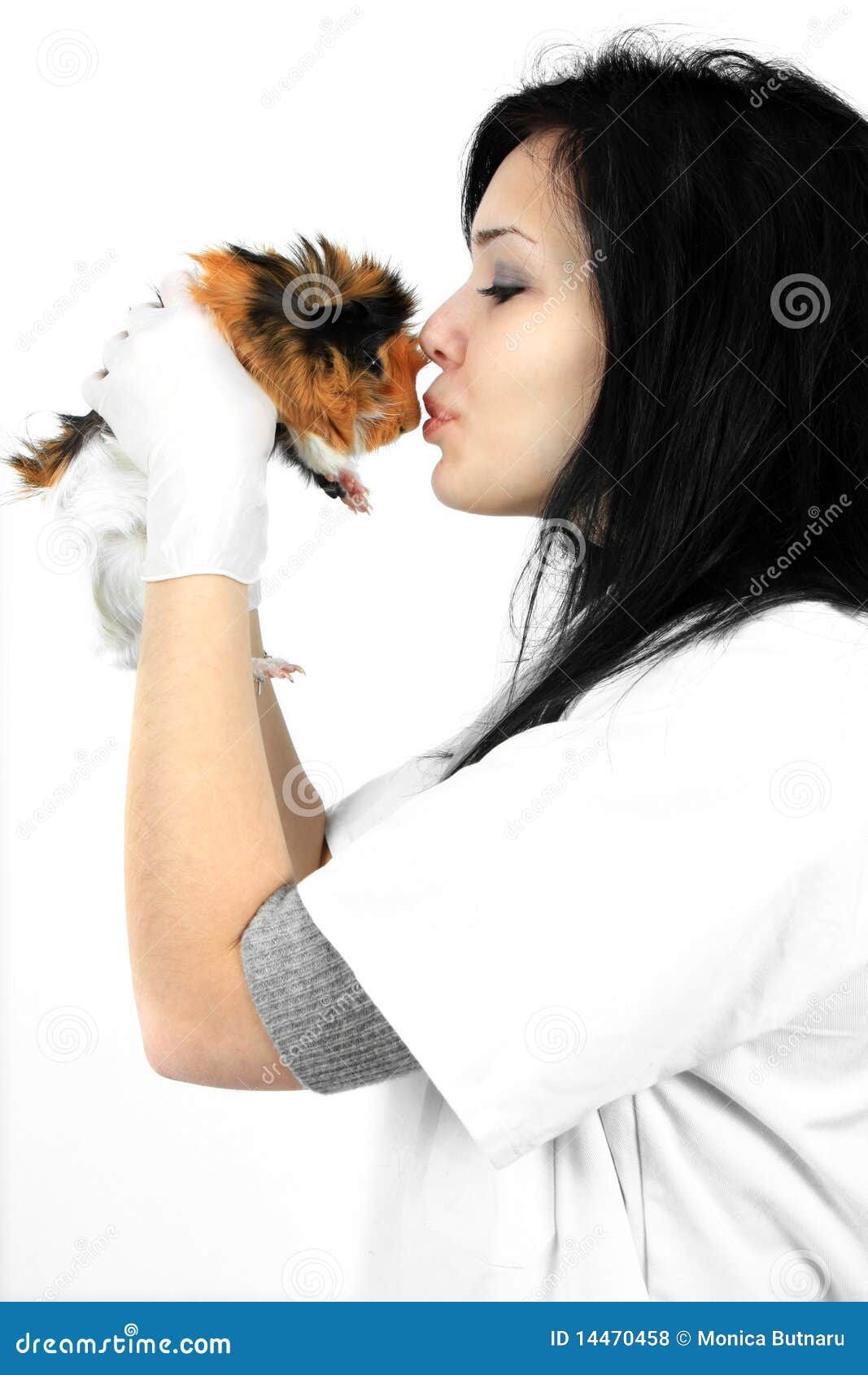 A Veterinarian Holding a Guinea Pig Stock Photo - Image of lady, model