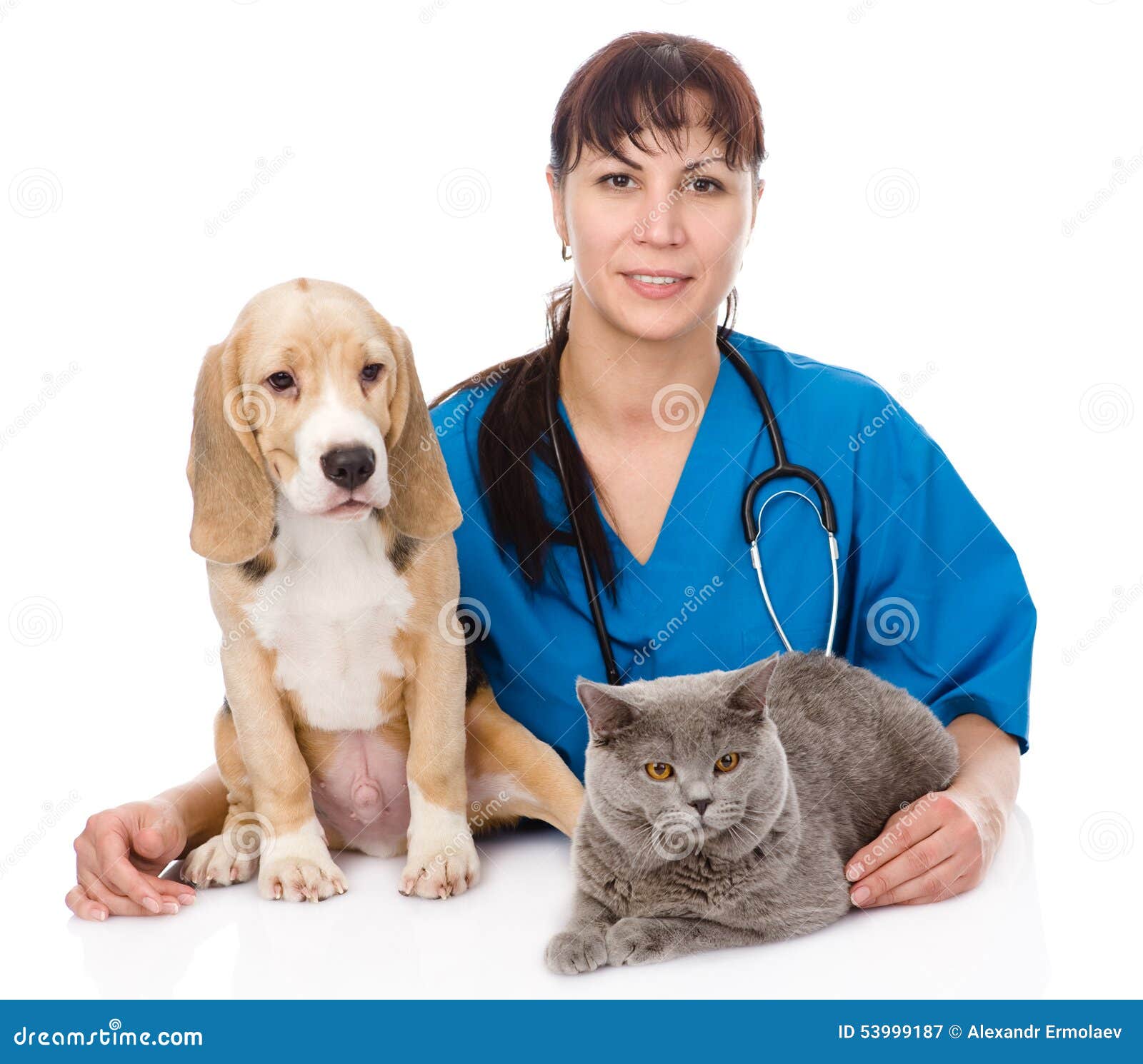 veterinarian hugging cat and dog.  on white background