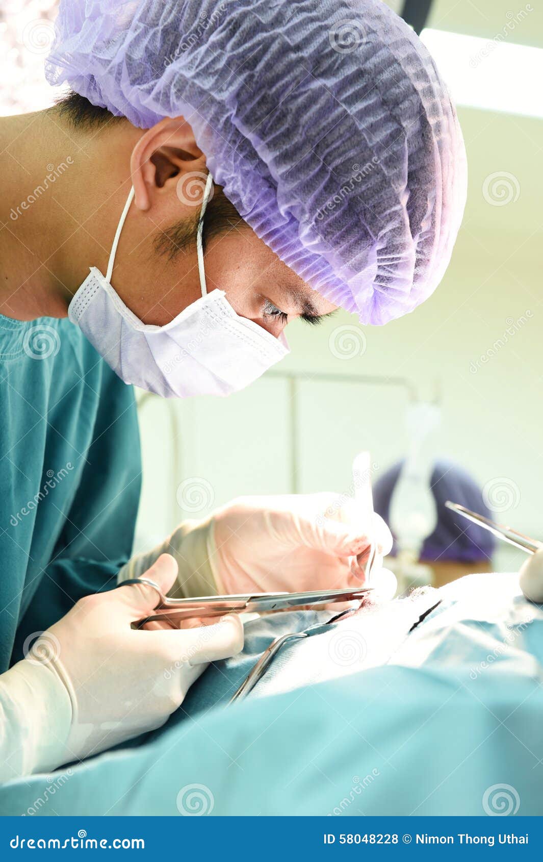 Veterinarian Surgery in Operation Room Stock Photo Image of