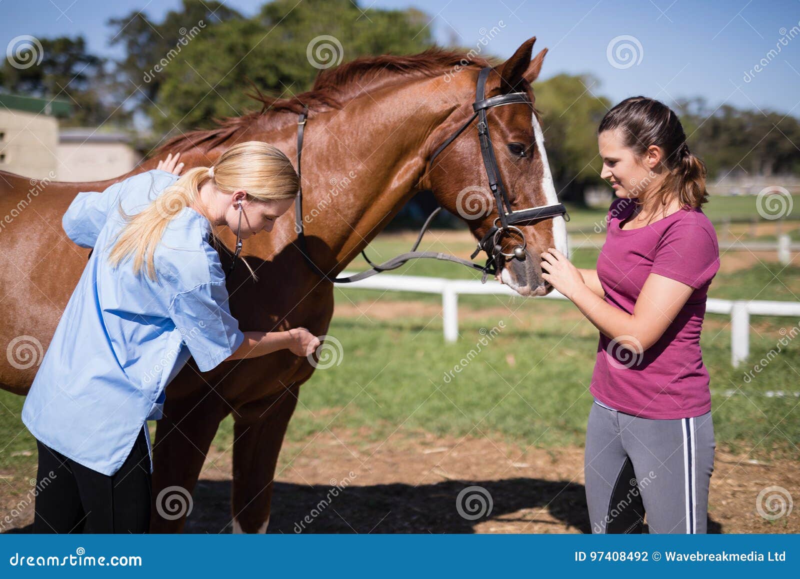 Sexos con caballos