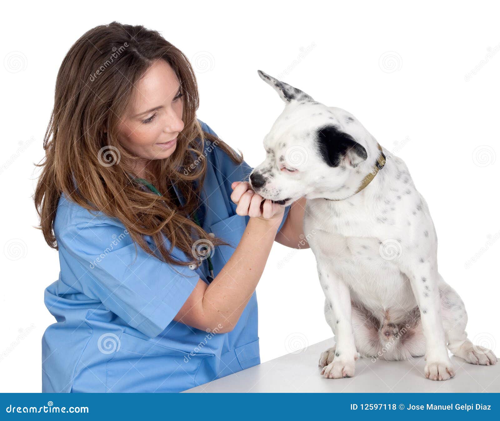 Veterinary with a Dog for a Review Stock Photo Image of people