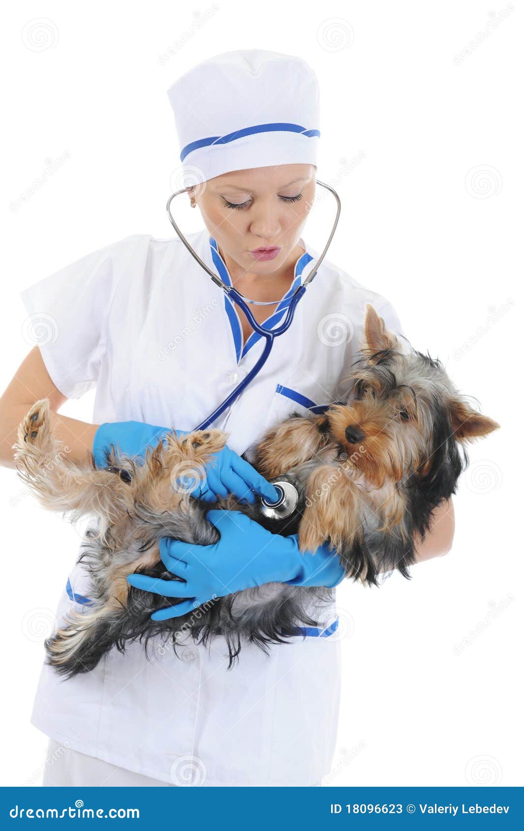 Veterinary with a Dog for a Review Stock Image Image of girl, model