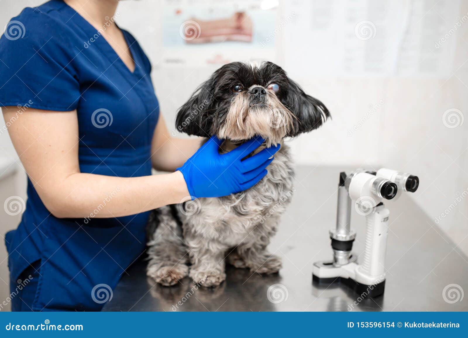 Buy Ophthalmology Vet Near Me | UP TO 50% OFF Buy Ophthalmology Vet Near Me | UP TO 50% OFF